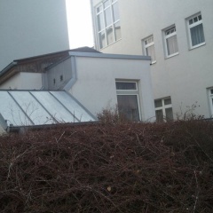 Fensterreinigung