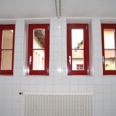 Fensterreinigung