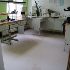 PVC, Linoleum, Beschichtungen