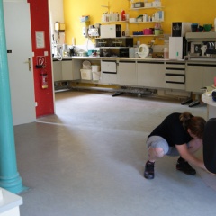 PVC, Linoleum, Beschichtungen