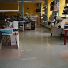PVC, Linoleum, Beschichtungen